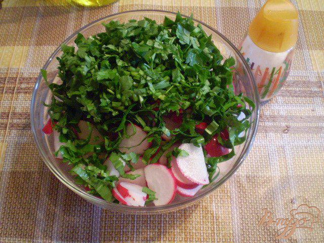 Фото приготовление рецепта: Салат из редиса с петрушкой и черемшой шаг №3
