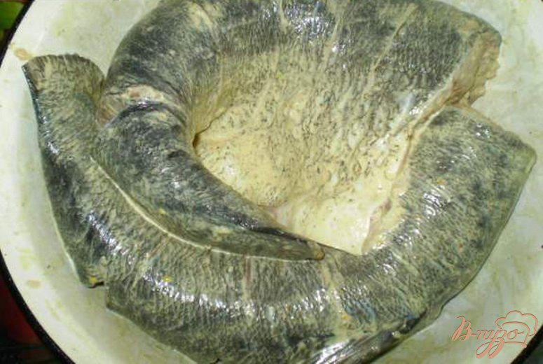 Фото приготовление рецепта: Маринованная рыба запеченная в фольге шаг №1