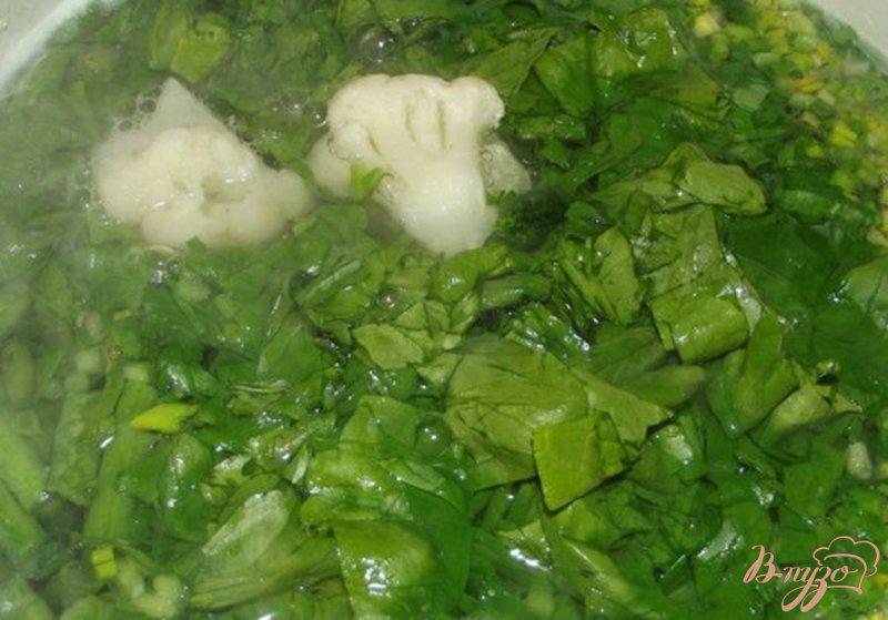 Фото приготовление рецепта: Зеленый диетический суп шаг №8