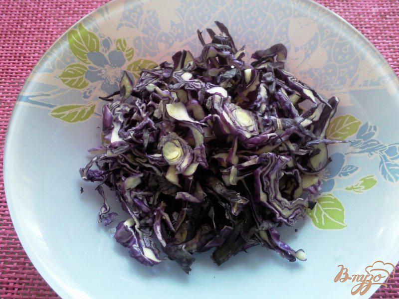 Фото приготовление рецепта: Салат из краснокочанной капусты с фасоли шаг №1