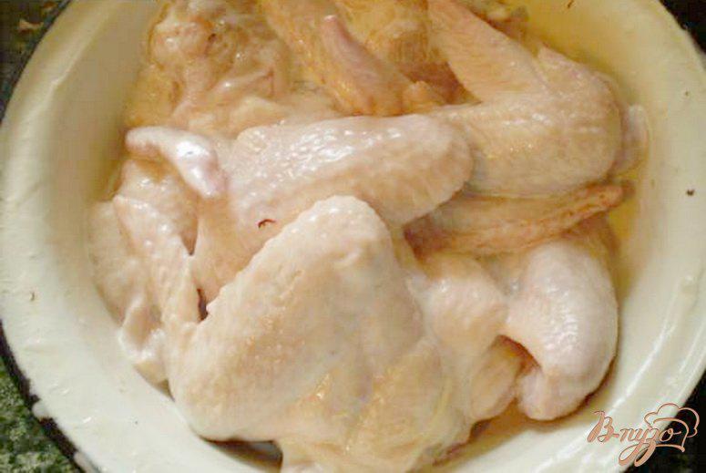 Фото приготовление рецепта: Шашлык куриный на кефире с чесноком шаг №2
