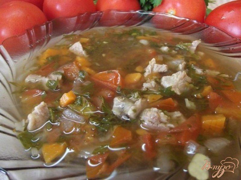 Фото приготовление рецепта: Суп с томатами шаг №8