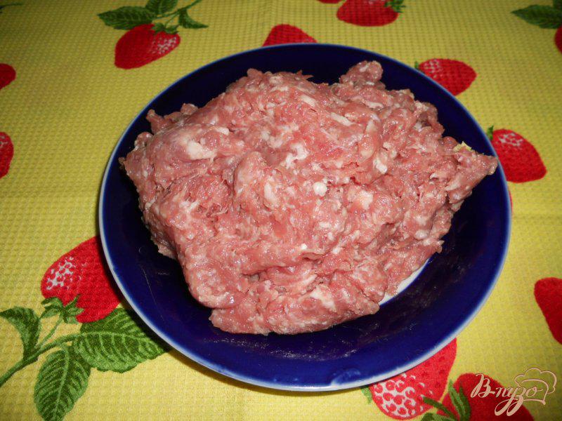 Фото приготовление рецепта: Пельмени с мясом и капустой на пару шаг №7