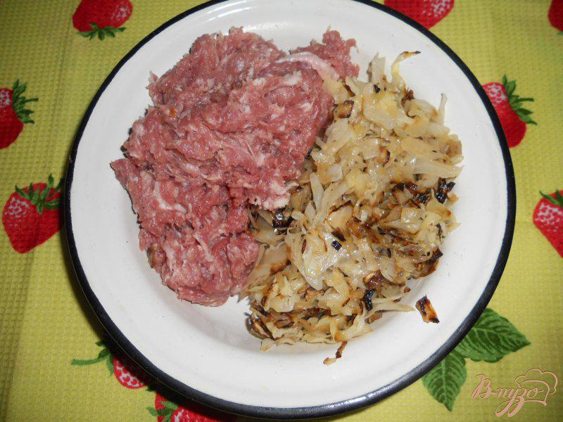 Фото приготовление рецепта: Пельмени с мясом и капустой на пару шаг №8