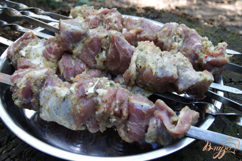 Фото приготовление рецепта: Шашлык свиной в луке шаг №4