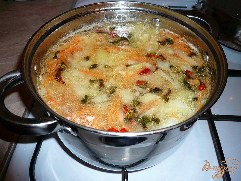 Фото приготовление рецепта: Суп с капустой и рисом шаг №7
