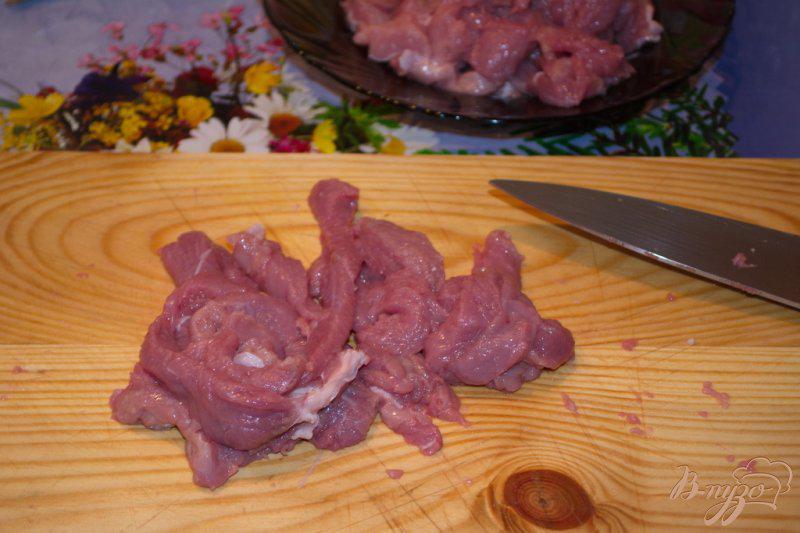 Фото приготовление рецепта: Мясо тушеное в томате с фасолью шаг №1
