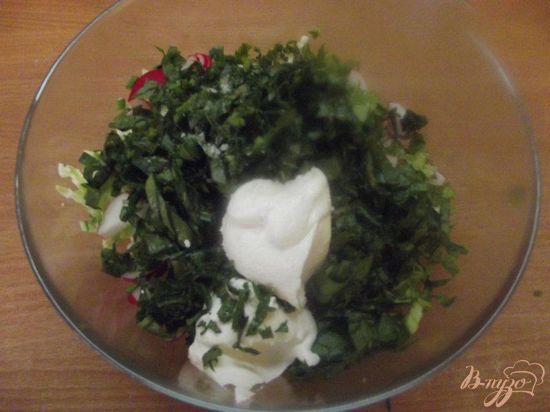 Фото приготовление рецепта: Салат ассорти из овощей и зелени шаг №4
