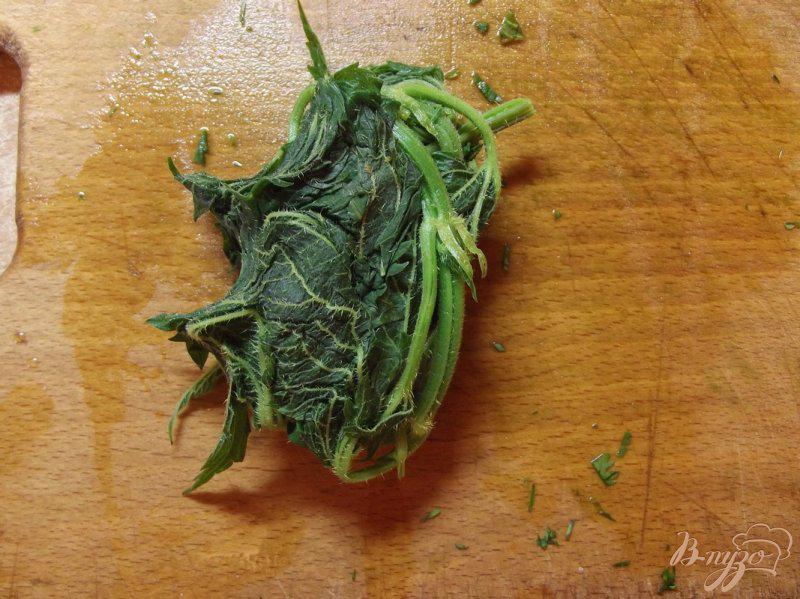 Фото приготовление рецепта: Мятный салат с крапивой шаг №4