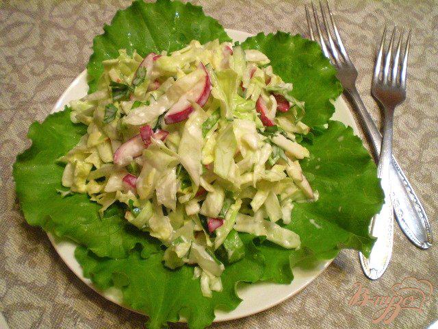 Фото приготовление рецепта: Овощной салат с яблоком и майонезом шаг №9