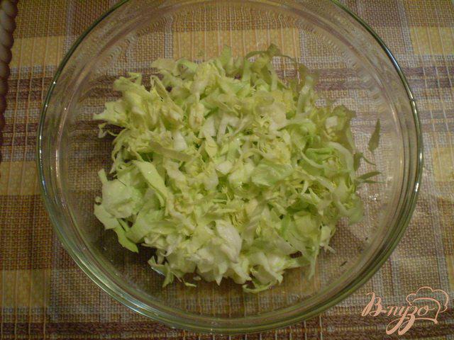 Фото приготовление рецепта: Овощной салат с яблоком и майонезом шаг №2