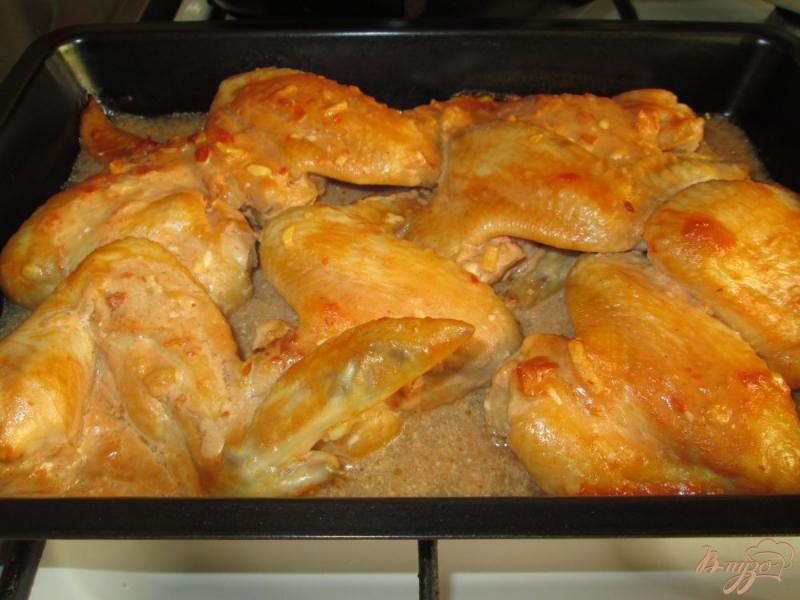 Фото приготовление рецепта: Куриные крылышки запеченные в соусе шаг №7