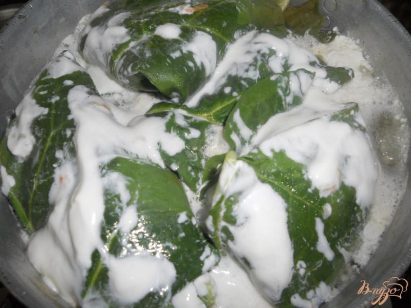 Фото приготовление рецепта: Голубцы в листьях ревеня шаг №5