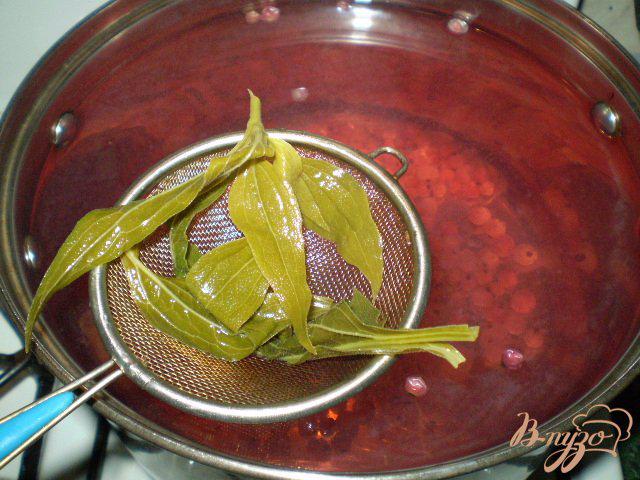Фото приготовление рецепта: Напиток из красной смородины и листьев эхинацеи пурпурной шаг №6