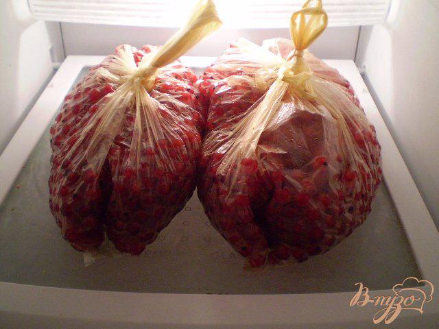 Фото приготовление рецепта: Заморозка красной смородины шаг №6