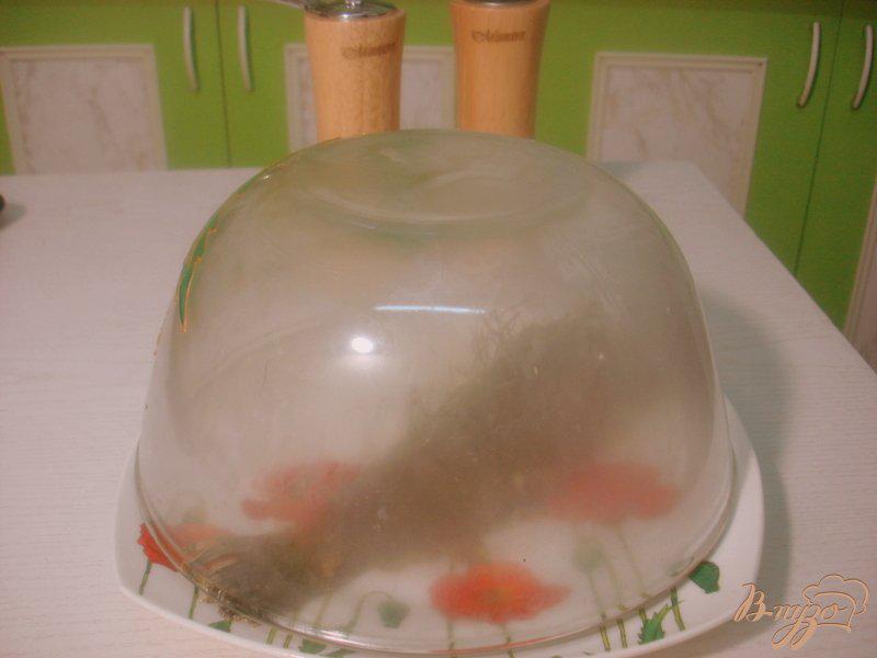 Фото приготовление рецепта: Рыба жареная с дымком шаг №5