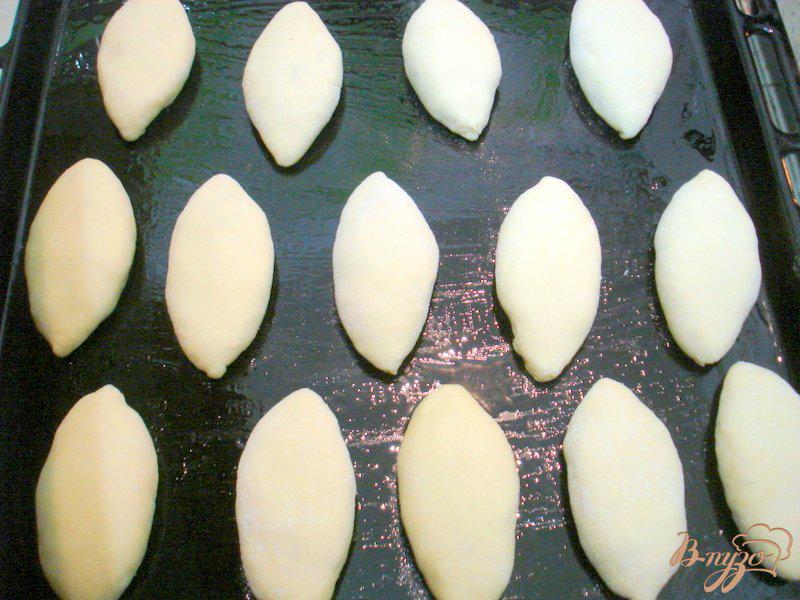 Фото приготовление рецепта: Пирожки с мясом на айране, или кефире шаг №10