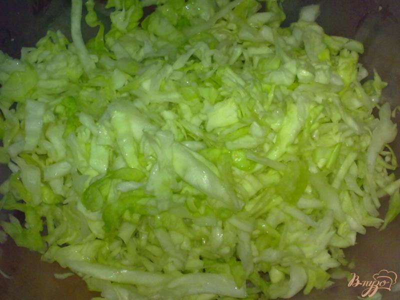 Фото приготовление рецепта: Салат с белокочанной капустой шаг №1