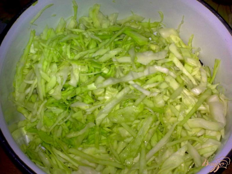 Фото приготовление рецепта: Салат с капустой «Пестрый» шаг №1