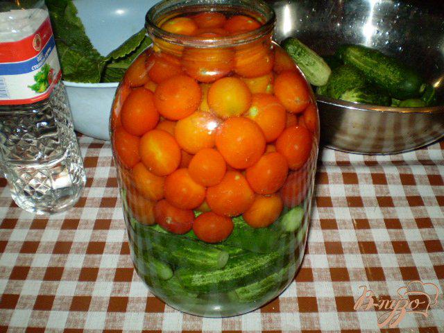 Фото приготовление рецепта: Огурцы и помидоры консервированные шаг №5