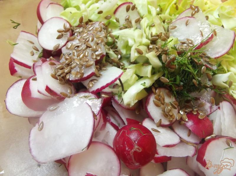 Фото приготовление рецепта: Салат с льняным семенем и редиской шаг №4