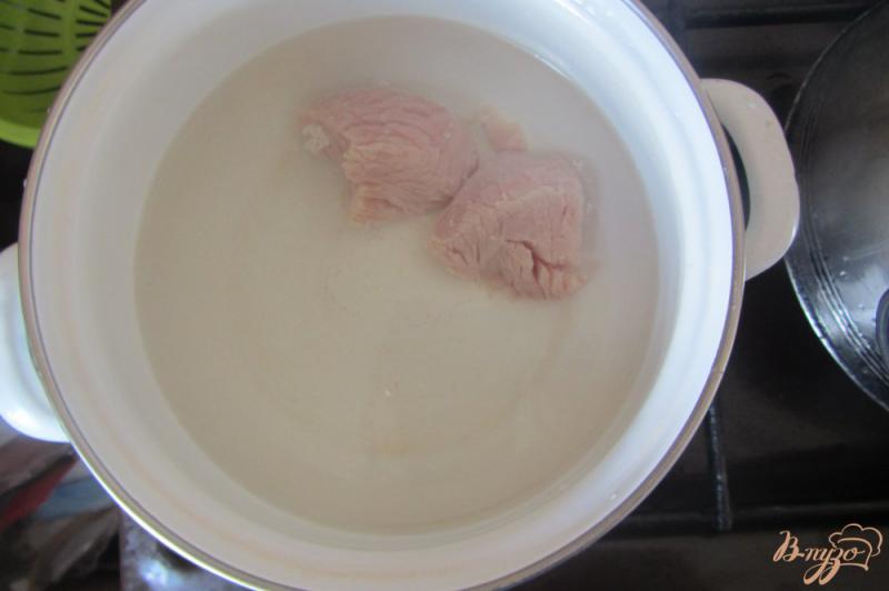 Фото приготовление рецепта: Суп со цветной капустой и индюшкой без зажарки шаг №1