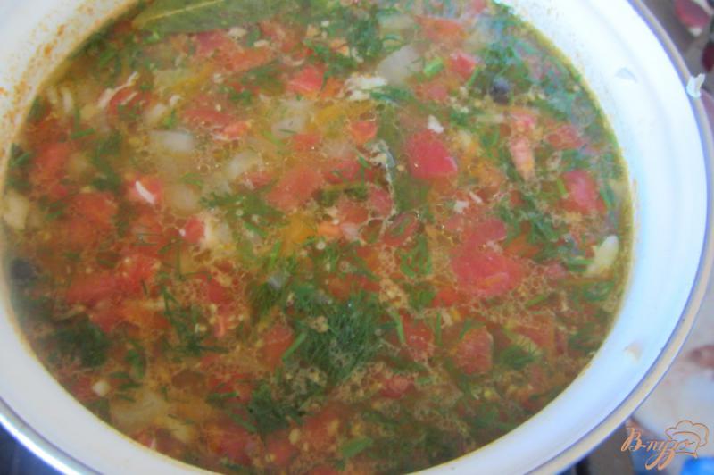 Фото приготовление рецепта: Суп рисовый на индейки с помидорами без зажарки шаг №10