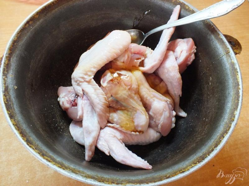 Фото приготовление рецепта: Куриные крылья в меду шаг №2