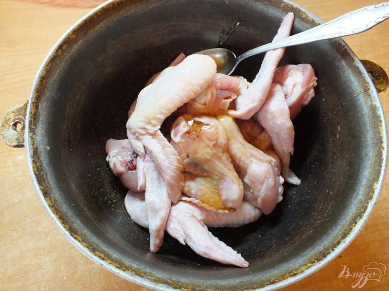 Фото приготовление рецепта: Куриные крылья в меду шаг №3