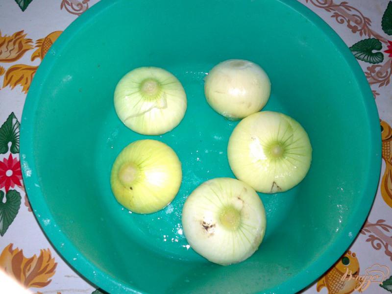 Фото приготовление рецепта: Свиной шашлык в маринаде из яблочного уксуса шаг №2