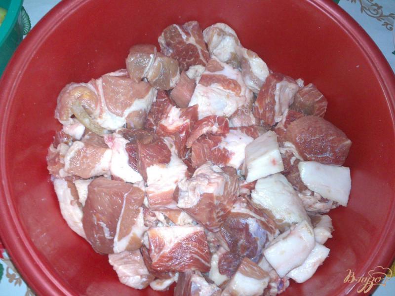 Фото приготовление рецепта: Свиной шашлык в маринаде из яблочного уксуса шаг №1