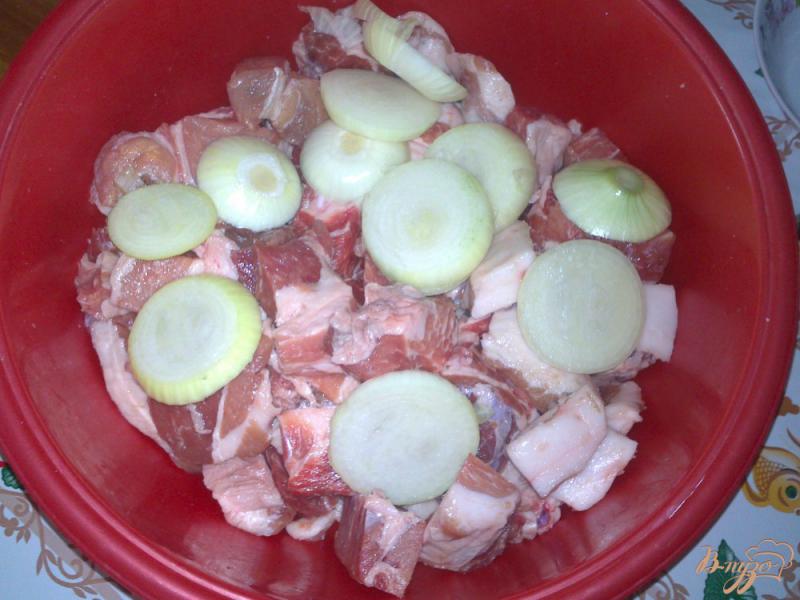 Фото приготовление рецепта: Свиной шашлык в маринаде из яблочного уксуса шаг №3