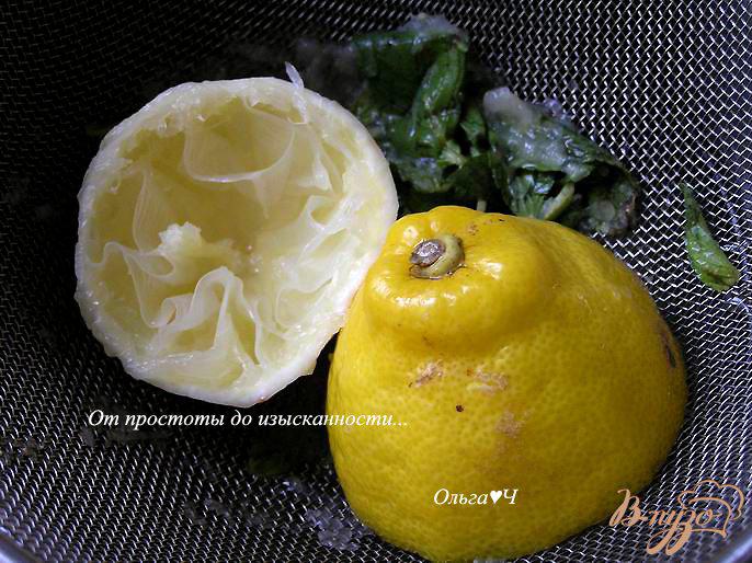 Фото приготовление рецепта: Дынный лимонад с мятой шаг №3
