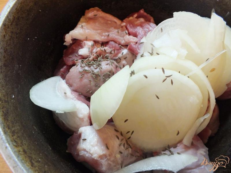 Фото приготовление рецепта: Шашлык из свинины с анисом шаг №3