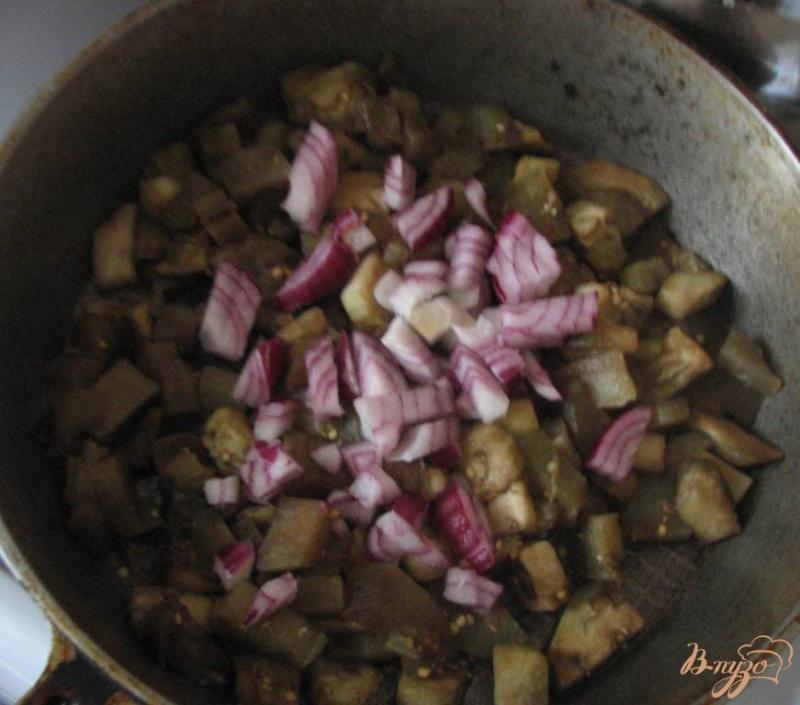 Фото приготовление рецепта: Салат из помидоров и печеных баклажан шаг №2