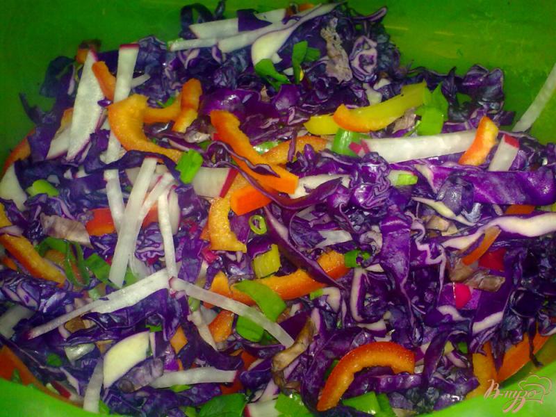 Фото приготовление рецепта: Салат из краснокочанной капусты с редисом шаг №5