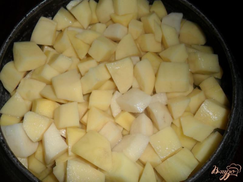 Фото приготовление рецепта: Тушёный картофель с мясом в чугунке по деревенски шаг №2