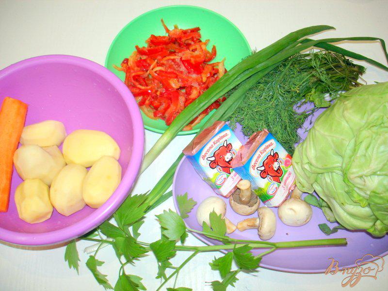 Фото приготовление рецепта: Суп из капусты с сырочками шаг №1