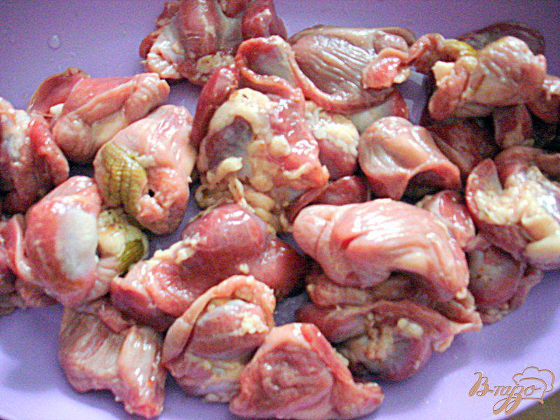 Фото приготовление рецепта: Капуста тушёная с куриными желудочками шаг №1