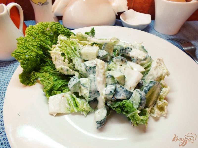 Фото приготовление рецепта: Салат с пекинской капустой, огурцом и шалфеем шаг №8