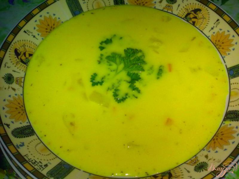 Фото приготовление рецепта: Суп овощной с сыром шаг №8