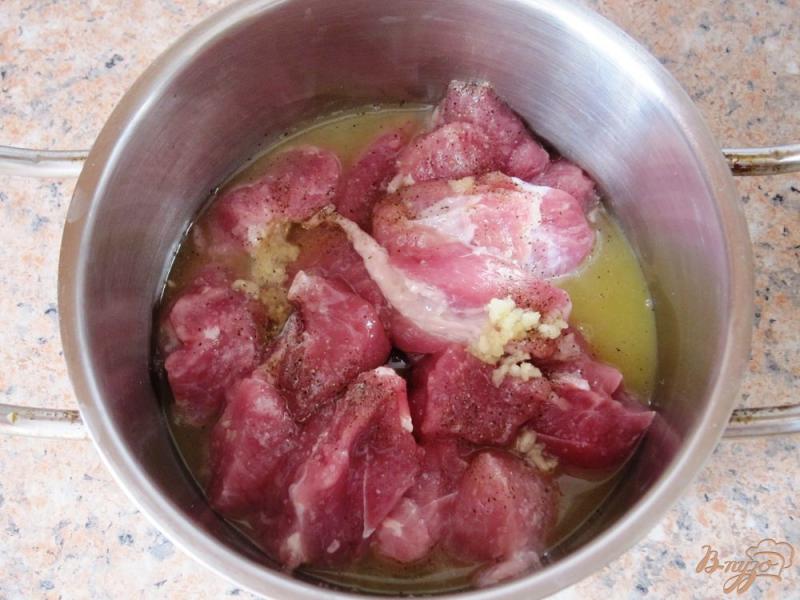 Фото приготовление рецепта: Свинина по-сантьягски шаг №3