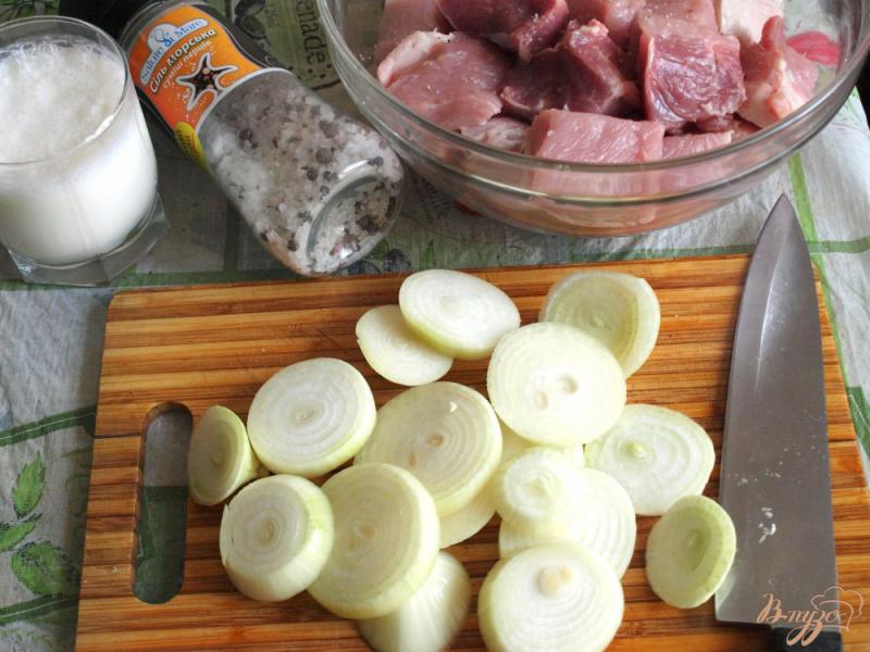 Фото приготовление рецепта: Шашлык из свинины маринованный в кефире шаг №1