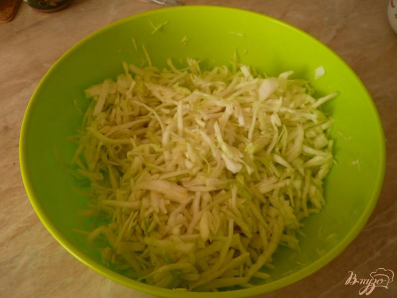 Фото приготовление рецепта: Маринованный салат из капусты с перцем и морковью шаг №3