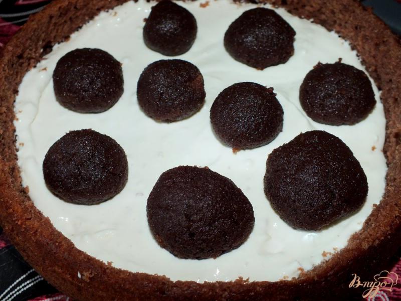 Фото приготовление рецепта: Творожный торт «черный трюфель» шаг №15