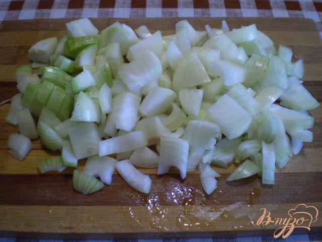 Фото приготовление рецепта: Тушенные зеленые помидоры с луком шаг №2