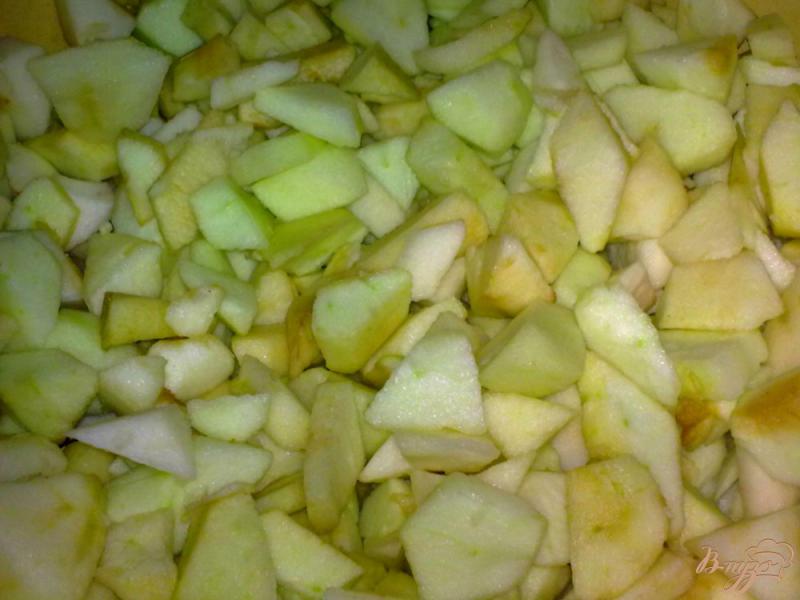 Фото приготовление рецепта: Варенье яблочное с бананом шаг №2