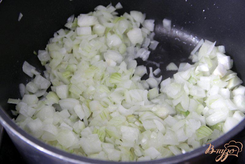 Фото приготовление рецепта: Луковый суп с капустой шаг №2