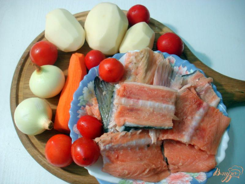 Фото приготовление рецепта: Рыбный суп с томатами шаг №1