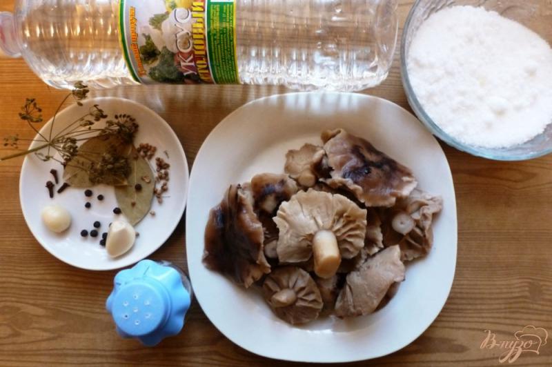 Фото приготовление рецепта: Маринованные грибы шаг №1